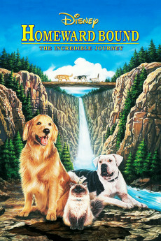 1993 A Incrivel Jornada 2 (Homeward Bound - The Incredible Journey) - Disney (Legendado) - Na Escolha de 10 filmes ou desenhos, o Pen-Drive será gráti