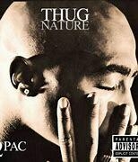 2Pac 2003 - Thugnature - Na Escolha de 10 álbuns musicais, 10 filmes ou desenhos, o Pen-Drive será grátis...Aproveite!