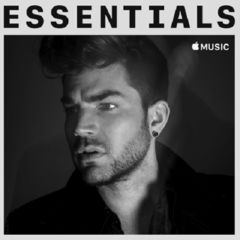 Adam Lambert 2020 - Essentials - Na compra de 10 álbuns musicais, 10 filmes ou desenhos, o Pen-Drive será grátis...Aproveite!