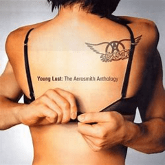 Aerosmith 2001 - The Aerosmith Anthology - Na compra de 10 álbuns musicais, 10 filmes ou desenhos, o Pen-Drive será grátis...Aproveite! - comprar online