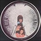 Bee Gees 1973 - Life In A Tin Can - Na compra de 10 álbuns musicais, 10 filmes ou desenhos, o Pen-Drive será grátis...Aproveite! - comprar online