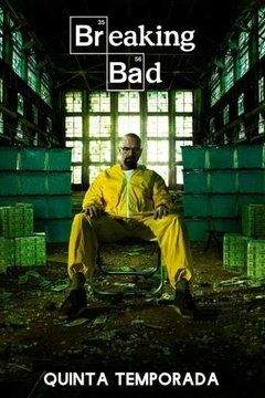 Breaking Bad - 5ª Temporada - PEN-DRIVE INCLUSO