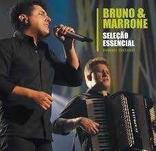 Bruno & Marrone 2014 - Grandes Sucessos - Na compra de 10 álbuns musicais, 10 filmes ou desenhos, o Pen-Drive será grátis...Aproveite! - comprar online