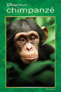 Chimpanzé Disney - Na compra de 10 álbuns musicais, 10 filmes ou desenhos, o Pen-Drive será grátis...Aproveite!