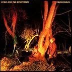Echo And The Bunnymen 1980 - Crocodiles - Na compra de 15 álbuns musicais, 20 filmes ou desenhos, o Pen-Drive será grátis...Aproveite! - comprar online
