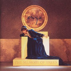 Enya 1995 - The Memory Of Trees - Na compra de 15 álbuns musicais, 20 filmes ou desenhos, o Pen-Drive será grátis...Aproveite! - comprar online