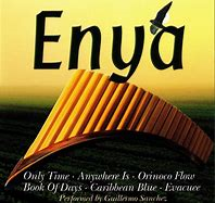 Tribute Enya 2001 Perfect Panpipes - Performed By Guillermo Sanchez - Na compra de 15 álbuns musicais, 20 filmes ou desenhos, o Pen-Drive será grátis...Aproveite!