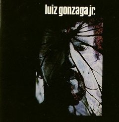 Gonzaguinha 1973 - Luiz Gonzaga Jr - Na compra de 15 álbuns musicais, 20 filmes ou desenhos, o Pen-Drive será grátis...Aproveite!