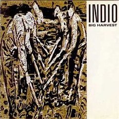 Big Harvest 1989 - Indio - Na compra de 10 álbuns musicais, 10 filmes ou desenhos, o Pen-Drive será grátis...Aproveite! - comprar online