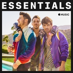 Jonas Brothers 2020 - Essentials - Na compra de 10 álbuns musicais, 10 filmes ou desenhos, o Pen-Drive será grátis...Aproveite!