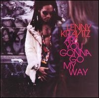Lenny Kravitz 1996 - Are You Gonna Go My Way - Na compra de 15 álbuns musicais, 20 filmes ou desenhos, o Pen-Drive será grátis...Aproveite!