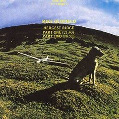 Mike oldfield 1976 - Orchestral Hergest Ridge - Na compra de 15 álbuns musicais, 20 filmes ou desenhos, o Pen-Drive será grátis...Aproveite!