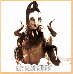 Ney Matogrosso 1975 - Água do céu - Pássaro - Na compra de 15 álbuns musicais, 20 filmes ou desenhos, o Pen-Drive será grátis...Aproveite!