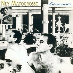 Ney Matogrosso 1994 - Estava escrito - Na compra de 15 álbuns musicais, 20 filmes ou desenhos, o Pen-Drive será grátis...Aproveite!