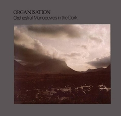 OMD Orchestral Manoeuvres in the Dark 1980 - Organisation - Na compra de 15 álbuns musicais, 20 filmes ou desenhos, o Pen-Drive será grátis...Aproveite!