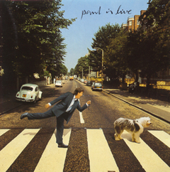 Paul McCartney 1993 - Paul Is Live - Na compra de 15 álbuns musicais, 20 filmes ou desenhos, o Pen-Drive será grátis...Aproveite!