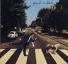 Paul McCartney 2019 - Paul Is Live - Na compra de 15 álbuns musicais, 20 filmes ou desenhos, o Pen-Drive será grátis...Aproveite!