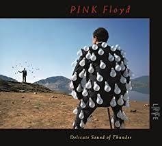 Pink Floyd 2008 - Delicate Sound of Thunder (Live) - Na compra de 15 álbuns musicais, 20 filmes ou desenhos, o Pen-Drive será grátis...Aproveite!