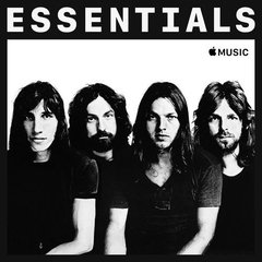 Pink Floyd 2018 - Essentials - Na compra de 15 álbuns musicais, 20 filmes ou desenhos, o Pen-Drive será grátis...Aproveite!