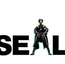 Seal 1991 - Seal - Na compra de 15 álbuns musicais, 20 filmes ou desenhos, o Pen-Drive será grátis...Aproveite!