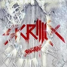 Skrillex 2011 - Bangarang - Na compra de 15 álbuns musicais ou 20 filmes e desenhos, o Pen-Drive será grátis...Aproveite!
