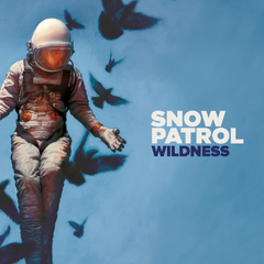 Snow Patrol 2018 - Wildness (Deluxe) - Na compra de 15 álbuns musicais, 20 filmes ou desenhos, o Pen-Drive será grátis...Aproveite!