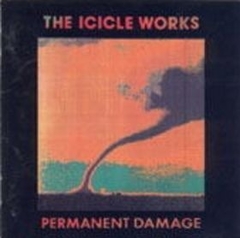 The Icicle Works 1990 - Permanent Damage - Na compra de 15 álbuns musicais, 20 filmes ou desenhos, o Pen-Drive será grátis...Aproveite!