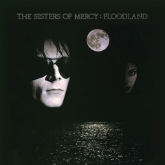 The Sisters Of Mercy 2015 - Floodland Collection -Na compra de 15 álbuns musicais ou 20 filmes e desenhos, o Pen-Drive será grátis...Aproveite!