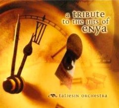 Tribute Enya 2006 Taliesin Orchestra - The Music of Enya - Na compra de 15 álbuns musicais, 20 filmes ou desenhos, o Pen-Drive será grátis...Aproveite!
