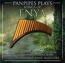 Tribute Enya 2007 VA-Panpipes Plays Songs of Enya - Na compra de 15 álbuns musicais, 20 filmes ou desenhos, o Pen-Drive será grátis...Aproveite!