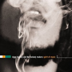 Ziggy Marley 1999 - Spirit of Music - Na compra de 15 álbuns musicais, 20 filmes ou desenhos, o Pen-Drive será grátis...Aproveite!