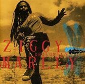 Ziggy Marley 2003 - Dragonfly - Na compra de 15 álbuns musicais, 20 filmes ou desenhos, o Pen-Drive será grátis...Aproveite!