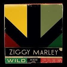 Ziggy Marley 2011 - Wild And Free - Na compra de 15 álbuns musicais, 20 filmes ou desenhos, o Pen-Drive será grátis...Aproveite!