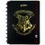 CADERNO INTELIGENTE Harry Potter