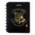 CADERNO INTELIGENTE Harry Potter - comprar online