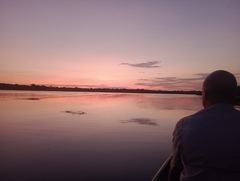 Banner da categoria Pacotes de Imersão na Selva Amazônica