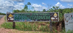 The Sierra of Tepequém in Roraima - buy online