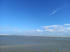 Pacote Turístico - Belém - Salinas (Região Bragantina) na internet