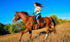 Horseback Riding Itinerary in Manaus