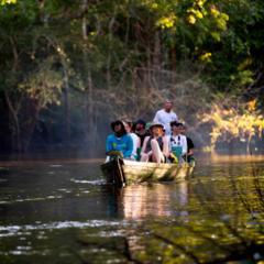 Immersion in the Amazon Jungle