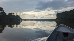 AMAZON SAFARI - Billy Amazonia Expedições 