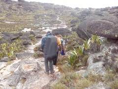 Monte Roraima Pacote Especial - loja online