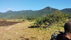 Rodeio em Guyana/Lethem região de Rupununi - loja online