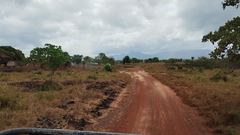 Rodeio em Guyana/Lethem região de Rupununi - Billy Amazonia Expedições 