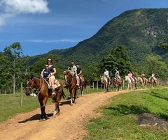 Horseback Riding Itinerary in Manaus on internet