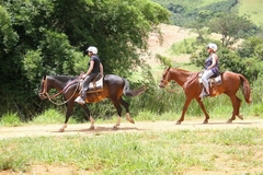 Passeio Turístico a Cavalo em Manaus - Billy Amazonia Expedições 