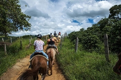 Passeio Turístico a Cavalo em Manaus - loja online