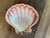 Concha Shell - Vila Jardim