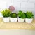 Kit Com 3 Plantas Artificiais Suculentas - loja online