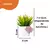 Kit Com 3 Plantas Artificiais Suculentas - AlojasBrasil